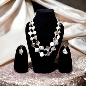 Natural Layered Seashells Set